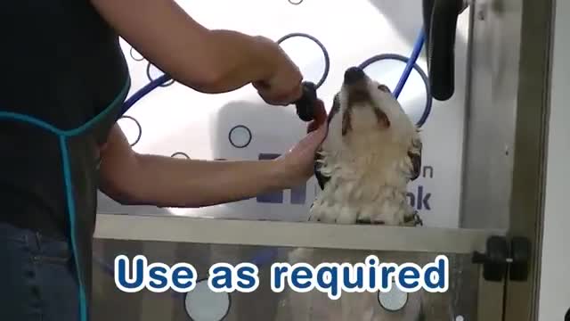 Brilliant self service dog wash machine video