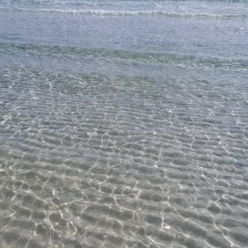 Zeus's first time to see the ocean