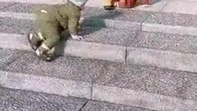 Funny moment.