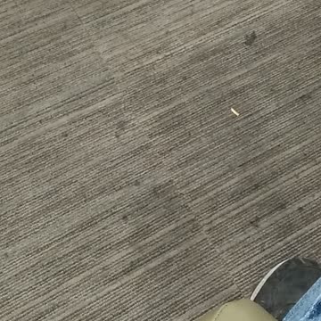 Test rumble Camera video