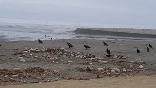 Coastal get away....