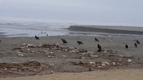 Coastal get away....