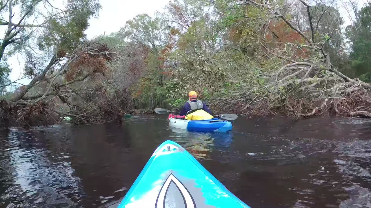 Lumber River State Park Princess Ann to Fair Bluff Wildlife Boat Ramp