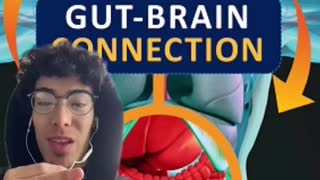 Gut Brain Connection