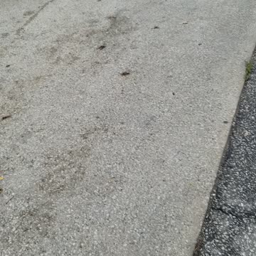 Bullhorning at Roseville elementary school