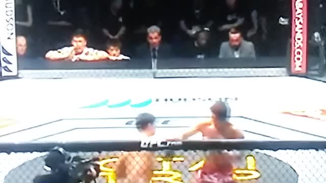 UFC knockouts