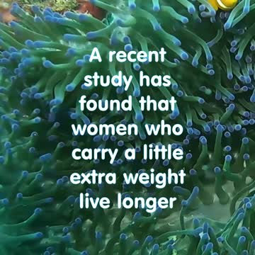 Funny Joke. A recent study has shown that woman who care extra weight....