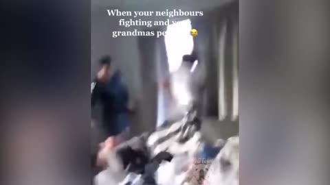 Best Of 2022 - Top Funny Pet Videos - TRY NOT TO LAUGH