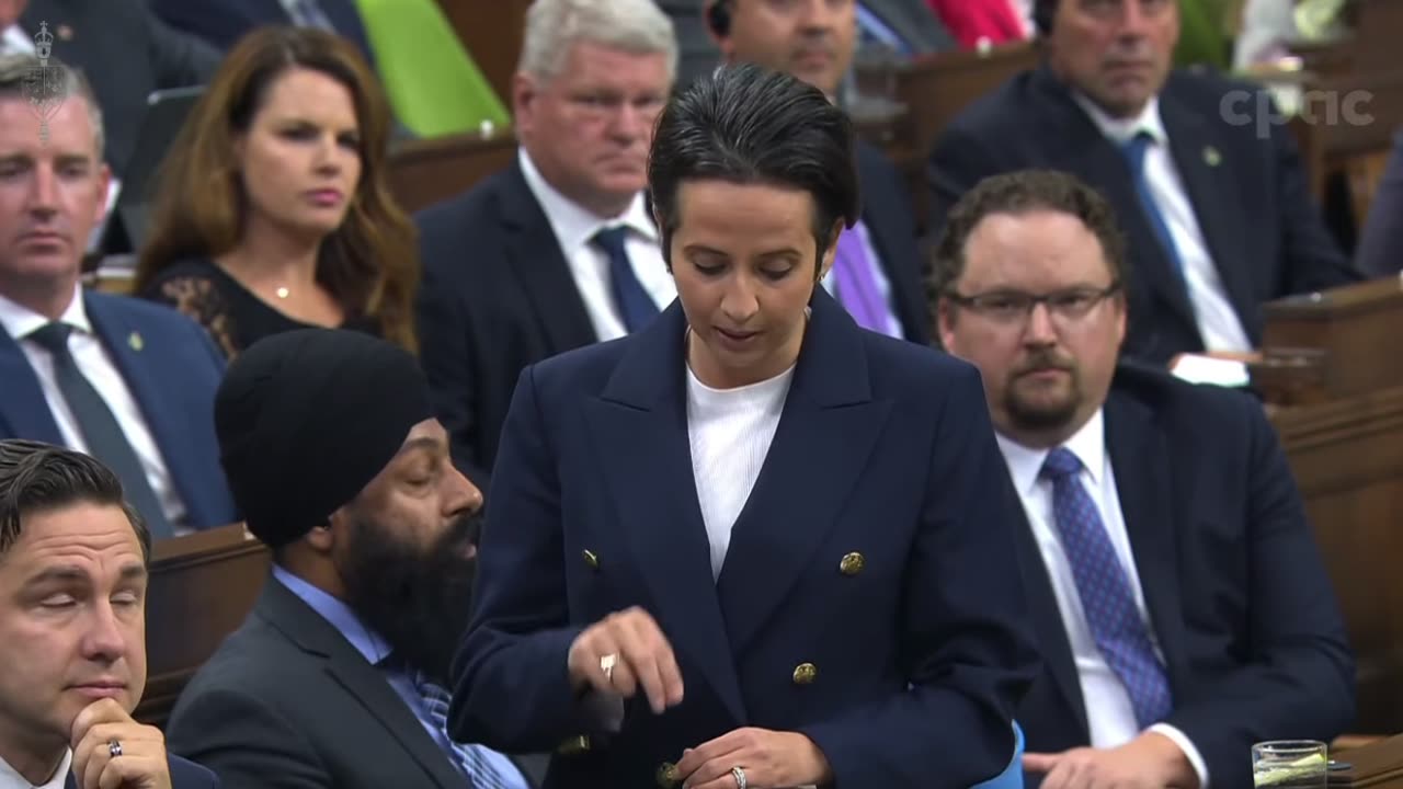 Melissa Lantsman slams Trudeau for having "never been shy to use the nazi label against his opponents"