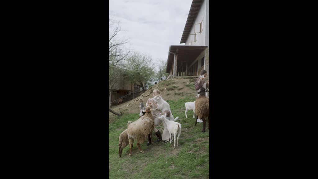 Happy Woman feeding the herd