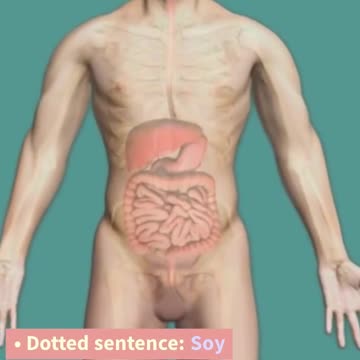 Soy for Digestive Health