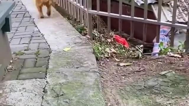 bro took some 4 his mate