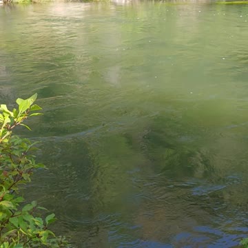 Provo River levels filling - 9/10/2022