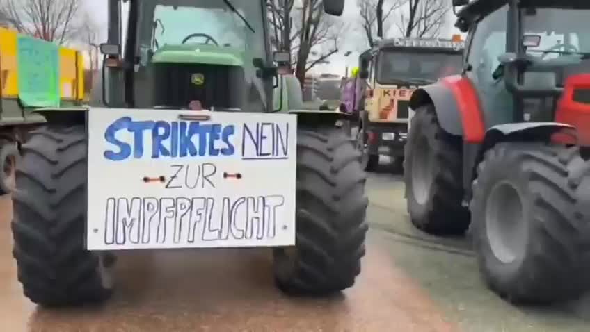 Austrian Convoy for Freedom in the city of Linz, sign reads "We defend our rights"