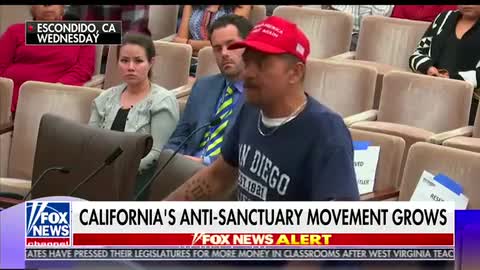 LEGAL Immigrant Lays Down The Law To Illegals: If I Can Do It So Can You