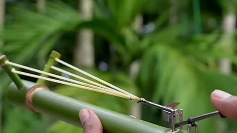 Bamboo creations with simple slingshot