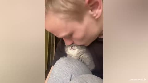 Cats Love Their Owner On A Different Level But It's Real Love - Cute Cat And Owner