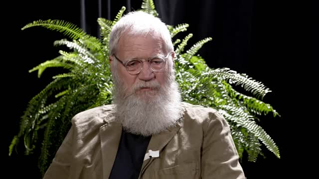 David Letterman - Between Two Ferns