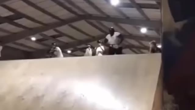 Best Funny Videos - Try to Not Laugh
