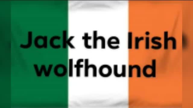 ㊙🈷drifting video clip㊗🈂 by jack the Irish wolfhound
