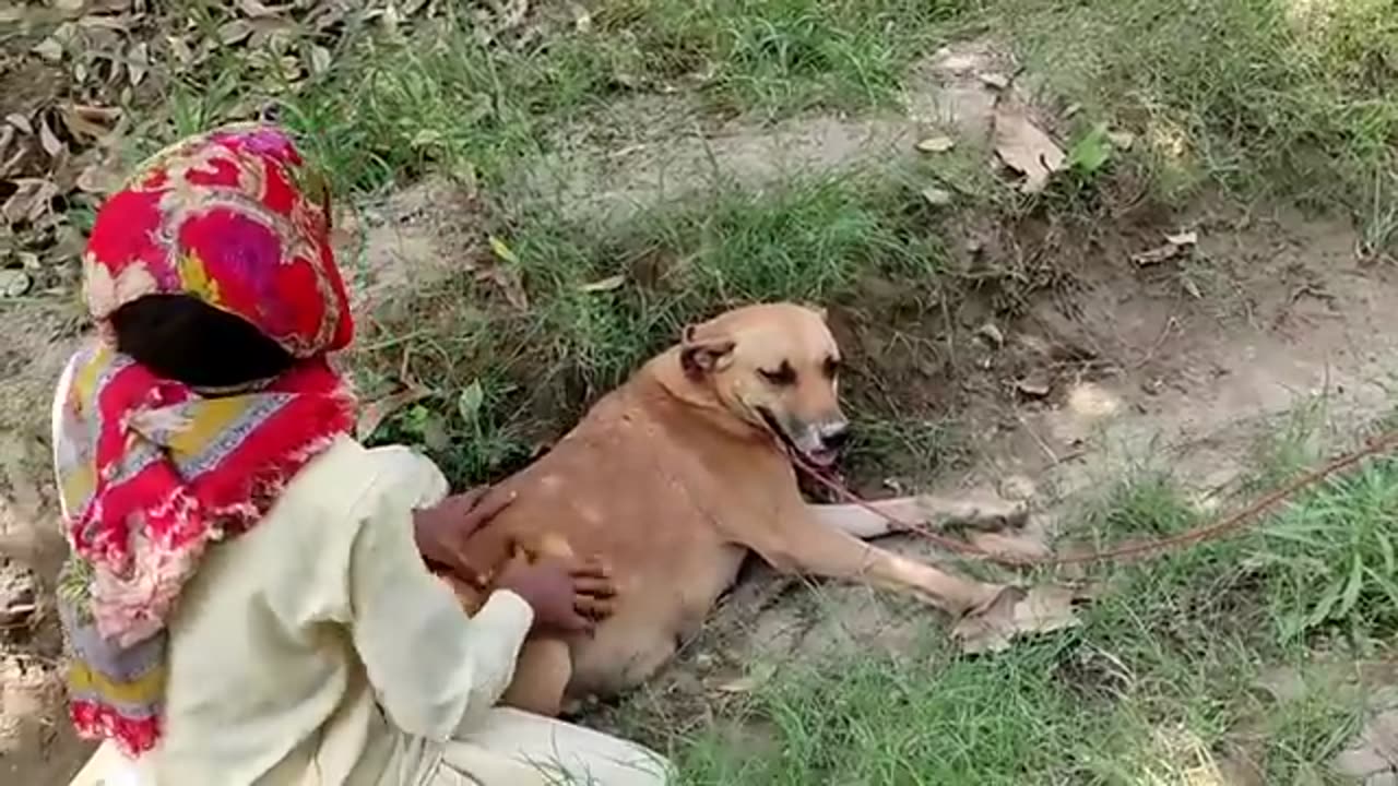 Boy with dog OMG