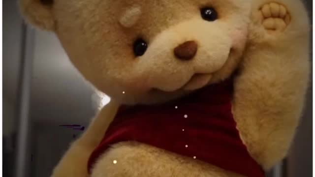 Teddy day whatsapp status velentine day special status