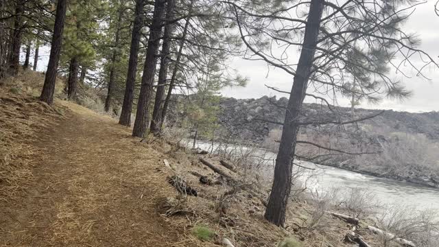 Exploring the GORGEOUS River Zone – Deschutes River Trail – Central Oregon – 4K