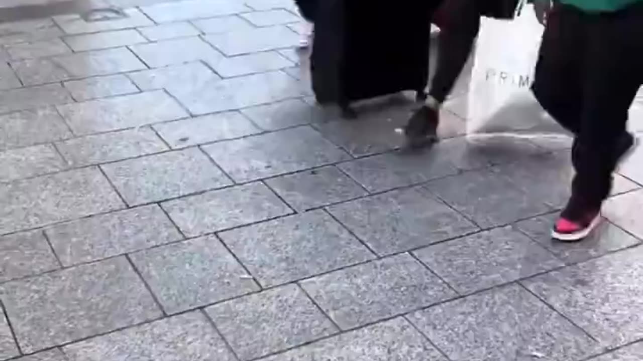 Amazing!!!! Guess what country this is?