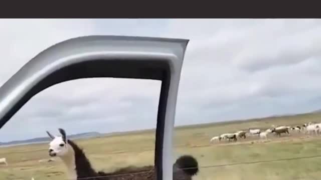 I'm in the top too