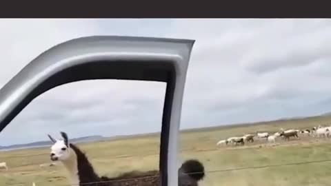 I'm in the top too