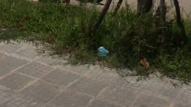 Vietnamese folk flag game