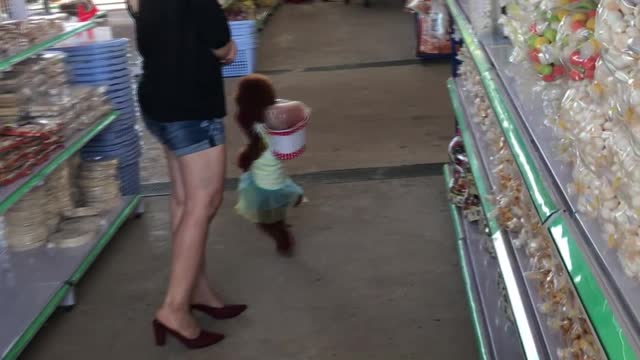 Unique Poodle Shops with Owner