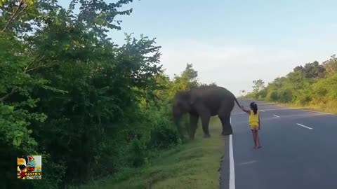 Raised one Hand and Control Elephant