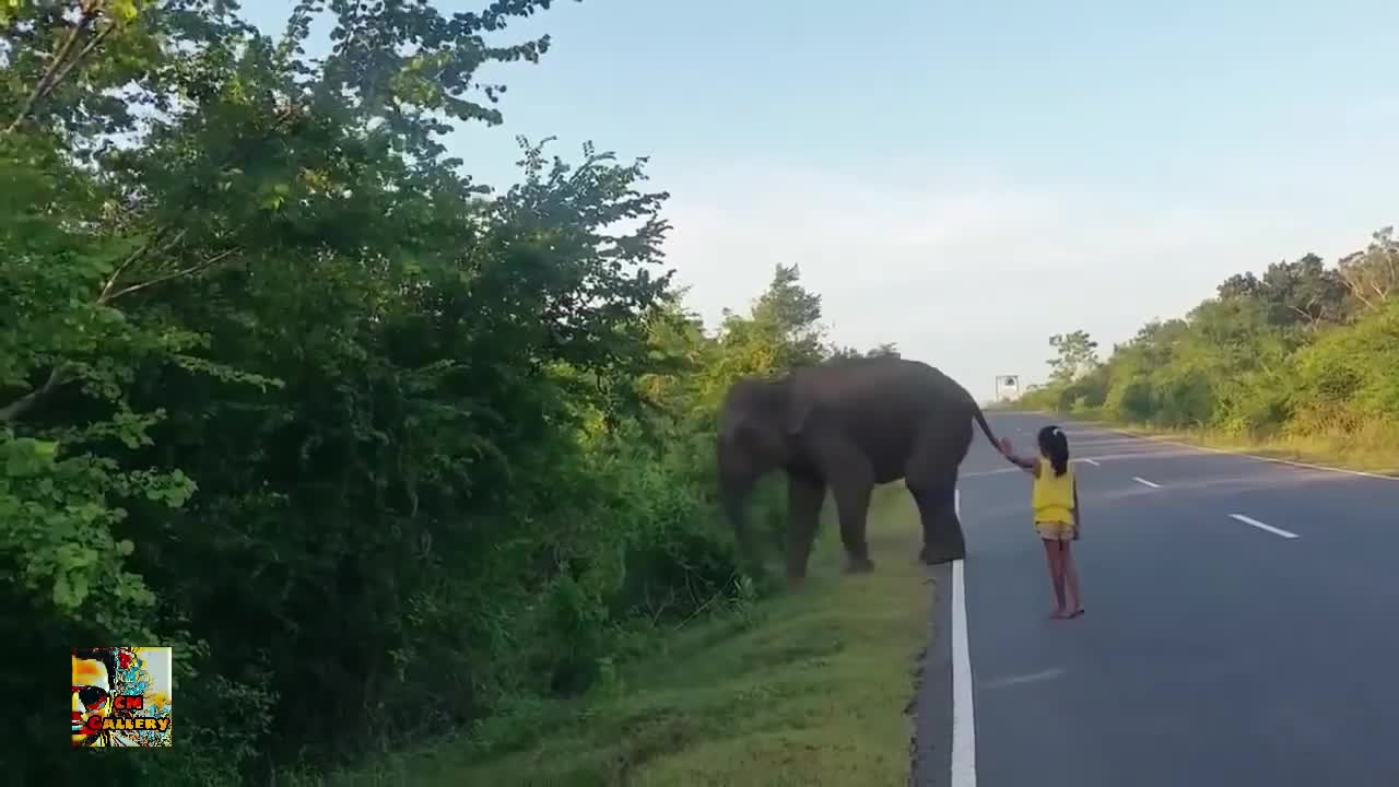 Raised one Hand and Control Elephant