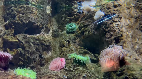 Italien 24-11-05 Fahrradtour und Besuch des Acquario di Genova
