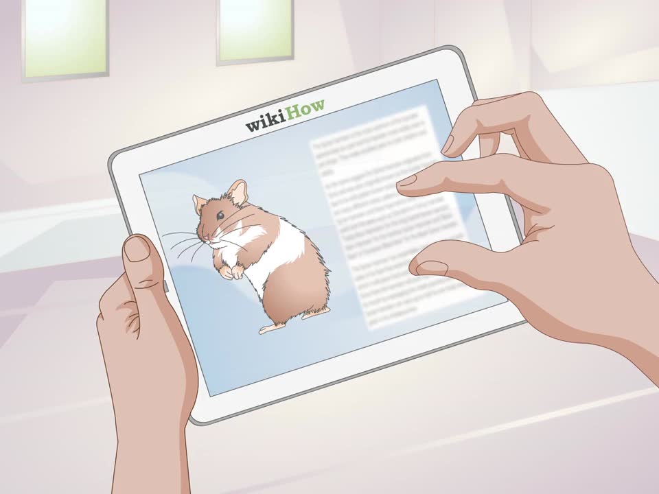 Tips to get a Hamster to sleep