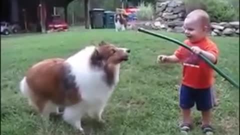 A Crazy boy Playing with a nice doge