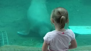 Walrus Gives Girl a Kiss