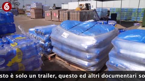 i campi fema - trailer corto
