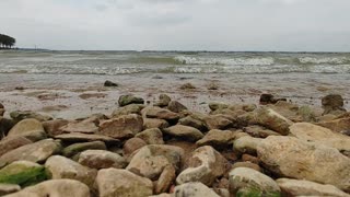 Relaxing rocky beach, water on rocks no crabs