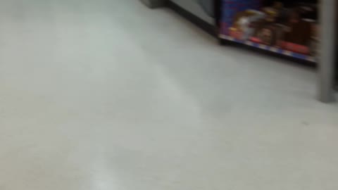 Bats Inside Walmart