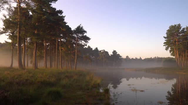 Misty Morning In A Natural Environment