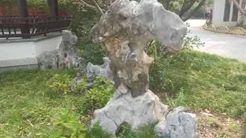 Does this stone look like a horse's head?