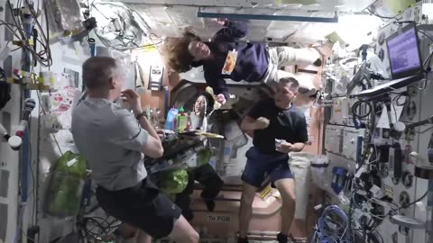 NASA Astronaut Frank Rubio: A Year of Science in Space