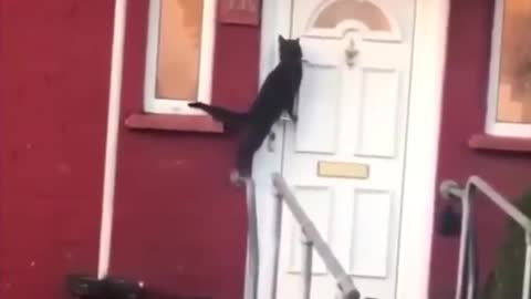 Open that door!!!