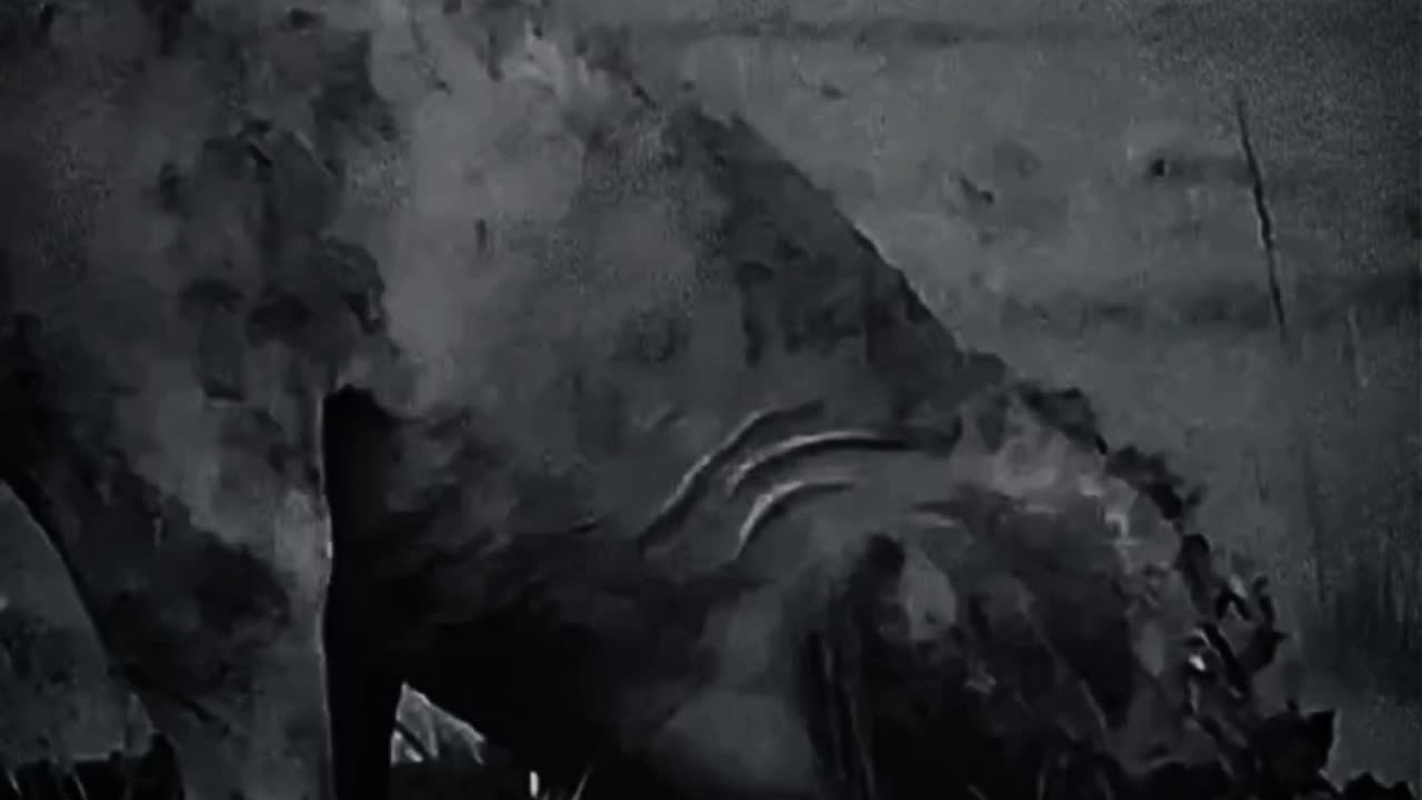 Even in his final moments he chose to carve his own path to rest