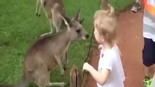 FUNNY kids get scared by cute animals