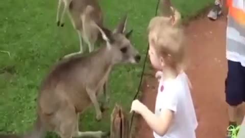 FUNNY kids get scared by cute animals