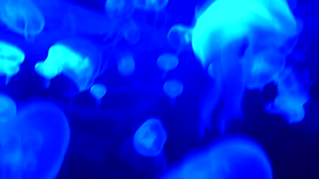 Calm Sleep Music in Underwater Ocean - Deep Relaxing Music, Sleeping Music, Meditation Music