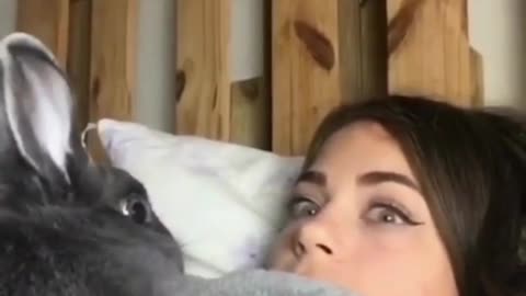 Cute bunny reacting to a girl🐇